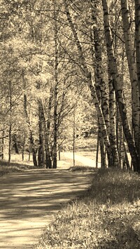 Sepia