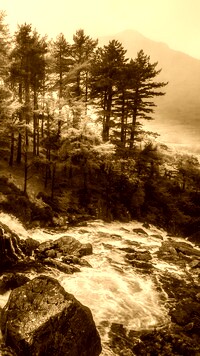 Sepia