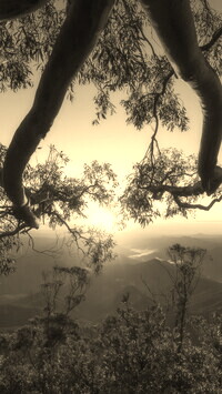 Sepia