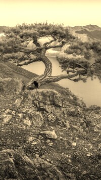 Szary + Sepia