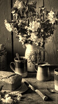 Szary + Sepia