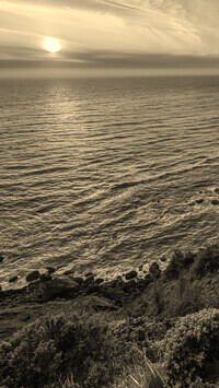 Sepia