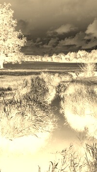 Sepia + Negatyw