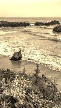Szary + Sepia