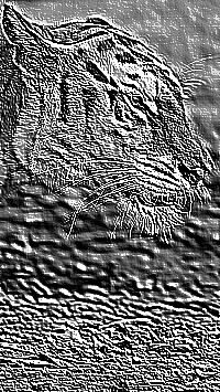 Skamielina