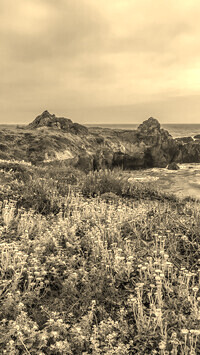 Sepia