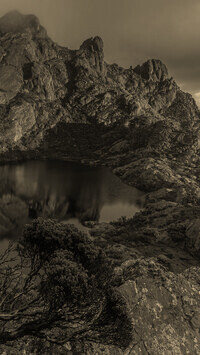 Szary + Sepia