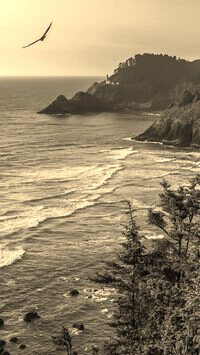 Sepia