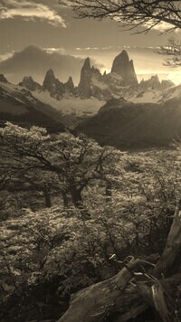 Szary + Sepia