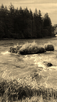 Sepia