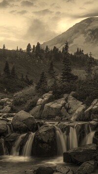 Szary + Sepia