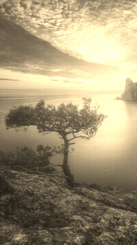 Sepia