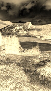 Sepia + Negatyw