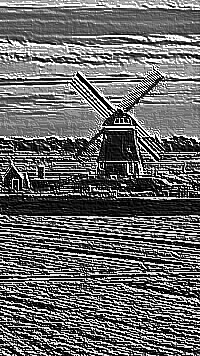Skamielina
