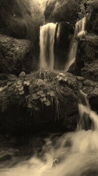 Sepia