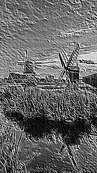 Skamielina