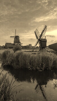 Szary + Sepia