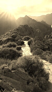 Sepia