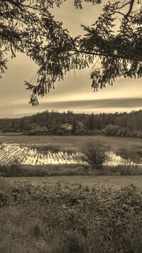 Szary + Sepia