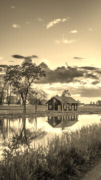 Sepia