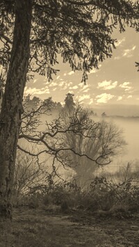 Szary + Sepia