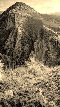 Szary + Sepia