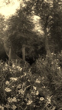 Szary + Sepia