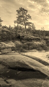 Sepia