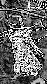 Skamielina