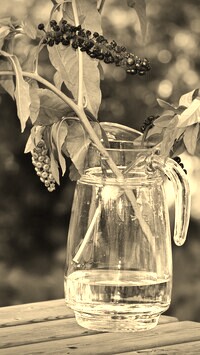 Szary + Sepia