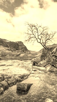 Szary + Sepia