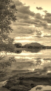 Szary + Sepia