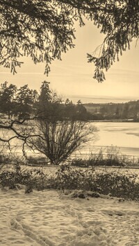 Sepia