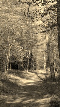 Szary + Sepia