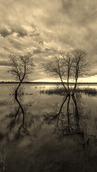 Szary + Sepia