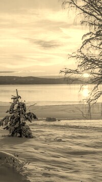 Szary + Sepia
