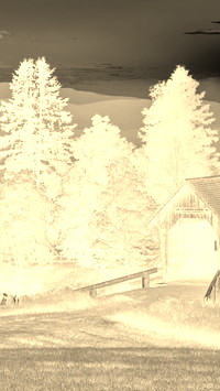 Sepia + Negatyw