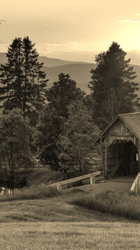 Szary + Sepia