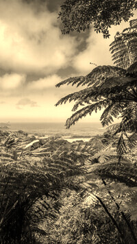 Szary + Sepia