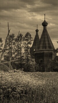 Szary + Sepia