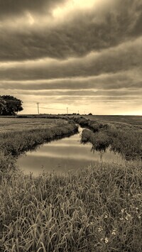Szary + Sepia