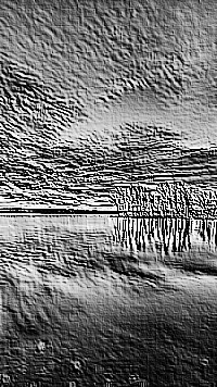 Skamielina