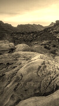 Szary + Sepia