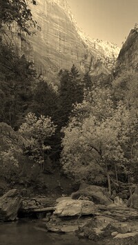 Sepia