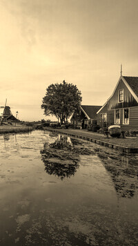 Szary + Sepia