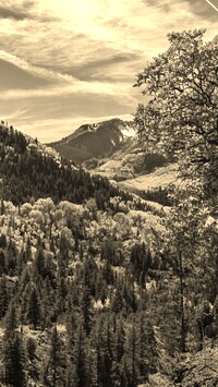 Sepia