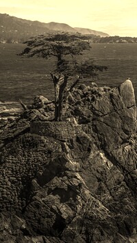 Szary + Sepia