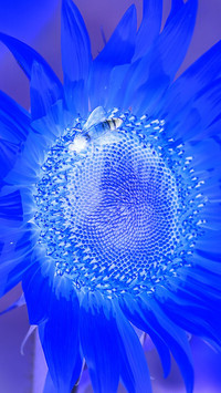Negatyw