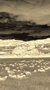 Sepia + Negatyw