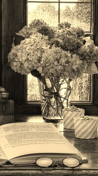 Szary + Sepia